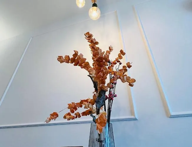 Ljupka - - With Private Free Parking 公寓 扎达尔